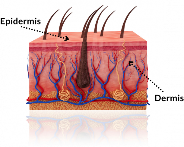 Fractional CO2 - SkinLayers