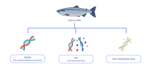 salmon-pdrn